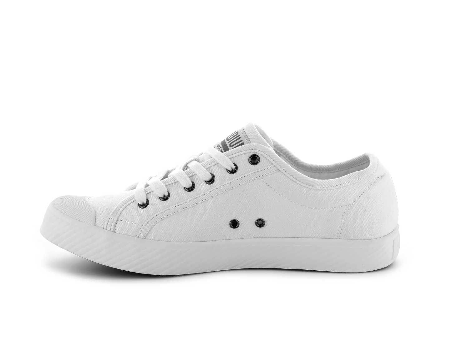75733-958-M | PALLAPHOENIX OG CANVAS | WIT