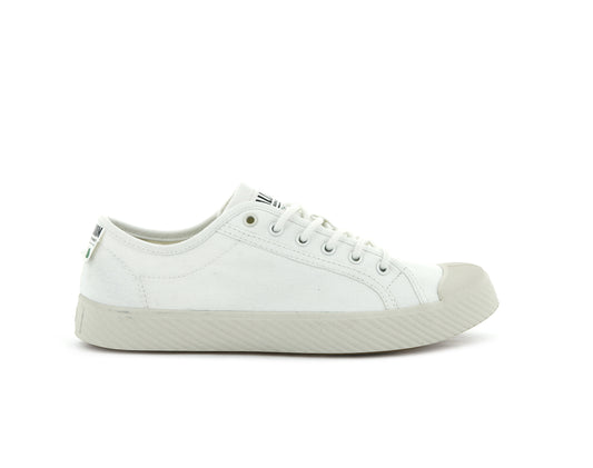 76632-116-M | PALLAPHOENIX OG ORGANIC | STAR WHITE